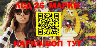 стаф Донецк
