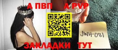 стаф Донецк