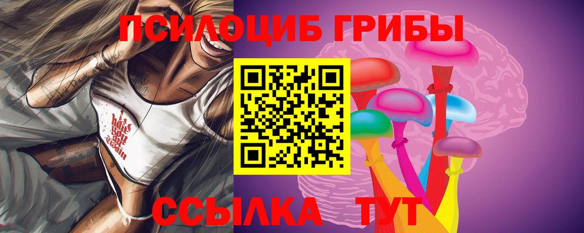 Псилоцибиновые грибы мицелий  где можно купить наркотик  Людиново  Вход с VPN 