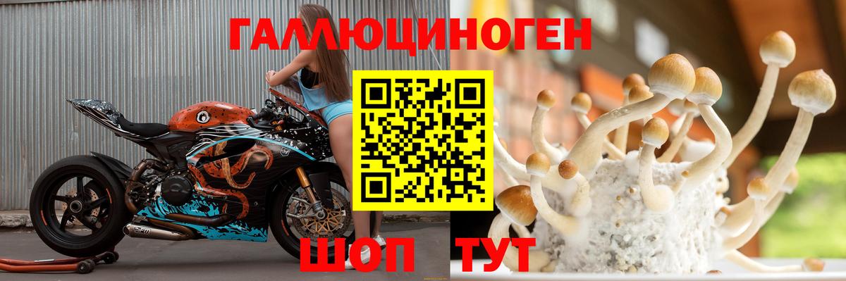 Галлюциногенные грибы прущие грибы Людиново